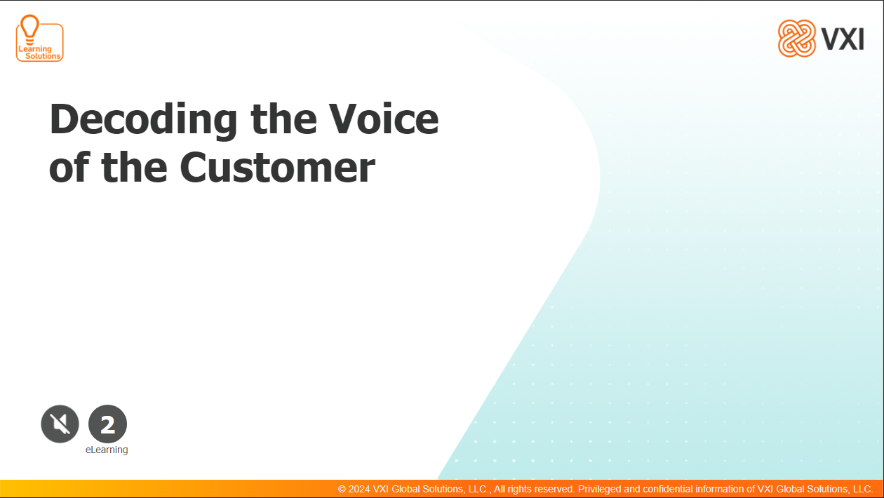 Decoding the Voice  of the Customer_LG_07_26 20240726_DVOC