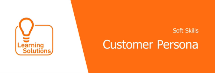 MLV Customer Persona MLVCP001